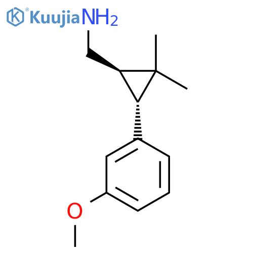 rac-[(1R,3R)-3-(3-methoxyphenyl)-2,2-dimethylcyclopropyl]methanamine structure