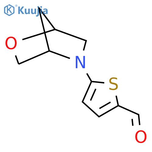 5-{2-oxa-5-azabicyclo[2.2.1]heptan-5-yl}thiophene-2-carbaldehyde structure