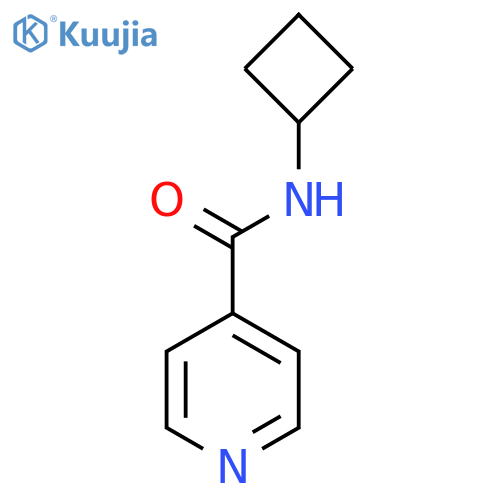 N-cyclobutylpyridine-4-carboxamide structure