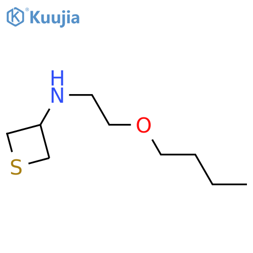 N-(2-butoxyethyl)thietan-3-amine structure