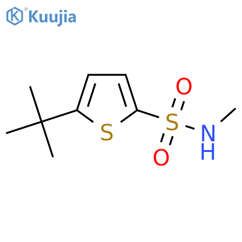 5-tert-butyl-N-methylthiophene-2-sulfonamide structure