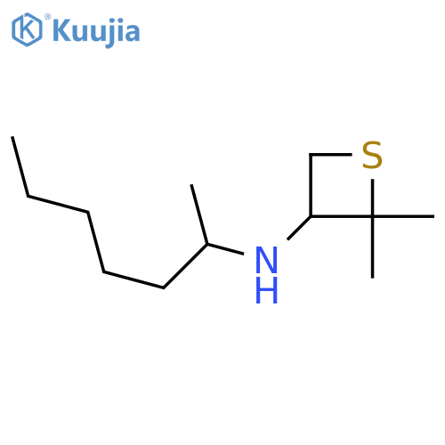 N-(heptan-2-yl)-2,2-dimethylthietan-3-amine structure