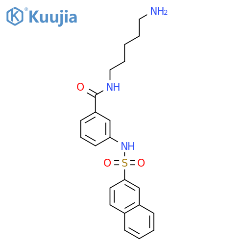 Benzamide, N-(5-aminopentyl)-3-[(2-naphthalenylsulfonyl)amino]- structure