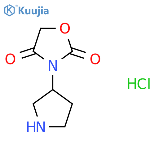 3-(pyrrolidin-3-yl)-1,3-oxazolidine-2,4-dione hydrochloride structure
