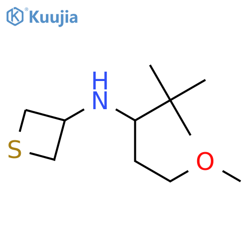 N-(1-methoxy-4,4-dimethylpentan-3-yl)thietan-3-amine structure