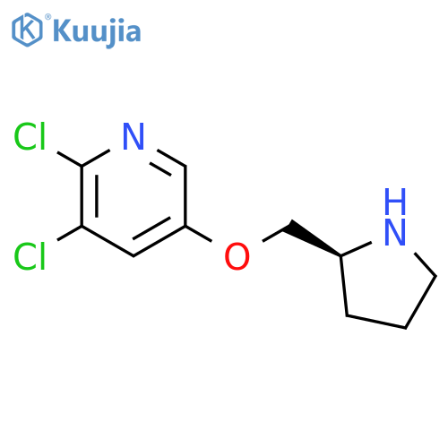 Pyridine, 2,3-dichloro-5-[(2S)-2-pyrrolidinylmethoxy]- structure
