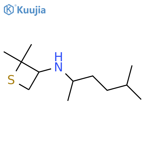 2,2-dimethyl-N-(5-methylhexan-2-yl)thietan-3-amine structure