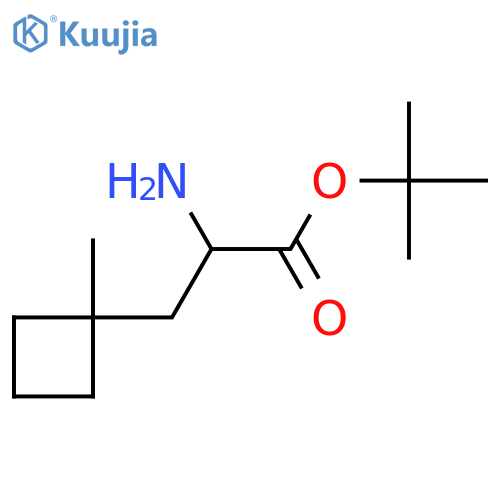 Tert-butyl 2-amino-3-(1-methylcyclobutyl)propanoate structure