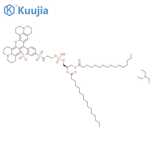Sulforhodamine 101 DHPE structure