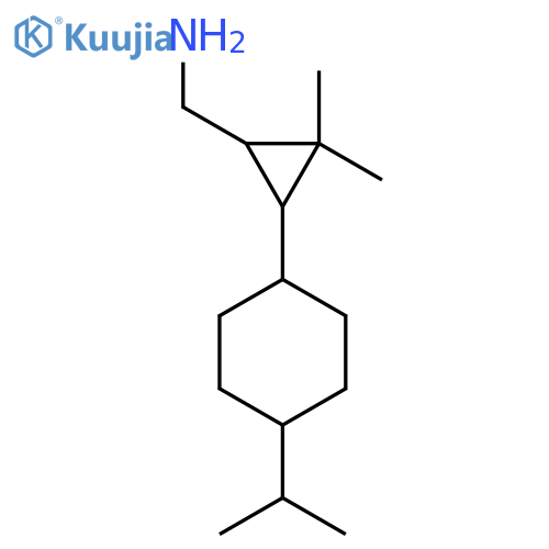 {2,2-Dimethyl-3-[4-(propan-2-yl)cyclohexyl]cyclopropyl}methanamine structure