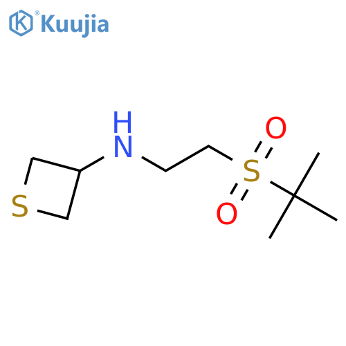 N-[2-(2-methylpropane-2-sulfonyl)ethyl]thietan-3-amine structure