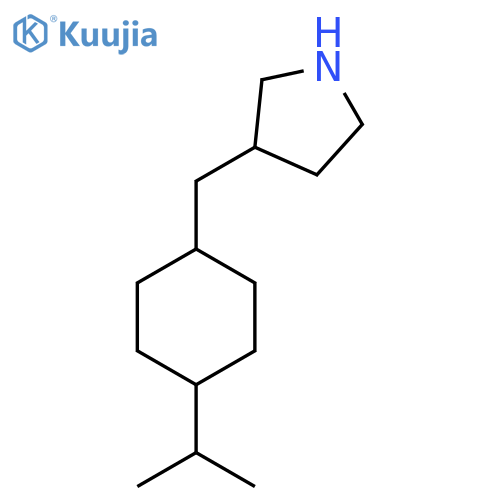3-{[4-(Propan-2-yl)cyclohexyl]methyl}pyrrolidine structure