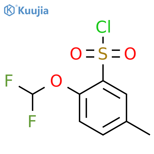Benzenesulfonyl chloride, 2-(difluoromethoxy)-5-methyl- structure