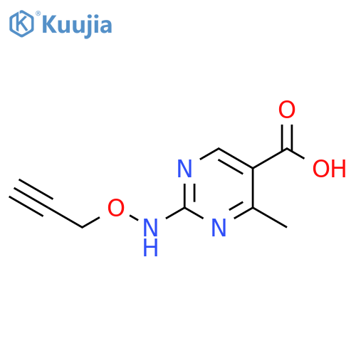 4-methyl-2-(prop-2-yn-1-yloxy)aminopyrimidine-5-carboxylic acid structure
