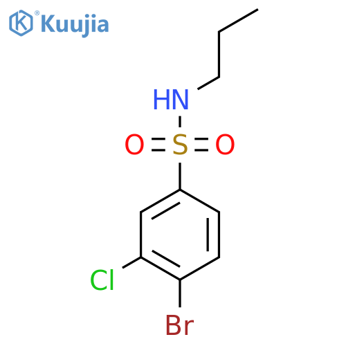 4-bromo-3-chloro-N-propylbenzene-1-sulfonamide structure