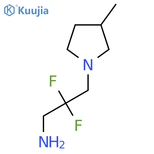 2,2-Difluoro-3-(3-methylpyrrolidin-1-yl)propan-1-amine structure