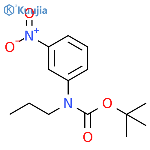 tert-butyl N-(3-nitrophenyl)-N-propylcarbamate structure