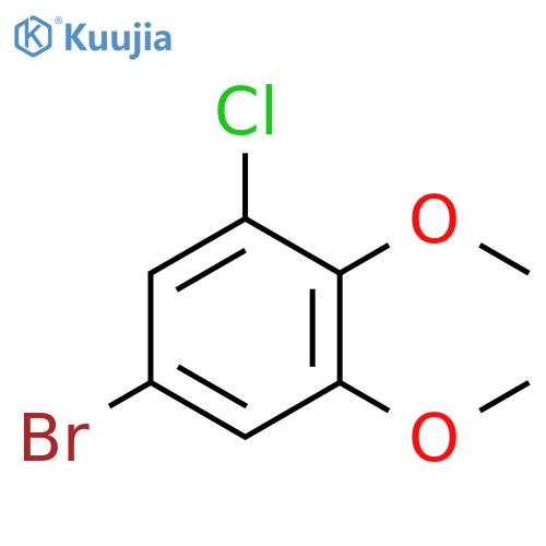 5-bromo-1-chloro-2,3-dimethoxybenzene structure