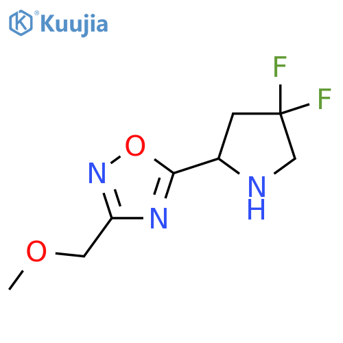 5-(4,4-Difluoropyrrolidin-2-yl)-3-(methoxymethyl)-1,2,4-oxadiazole structure
