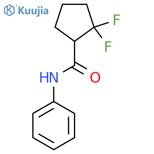 2,2-difluoro-N-phenylcyclopentane-1-carboxamide structure