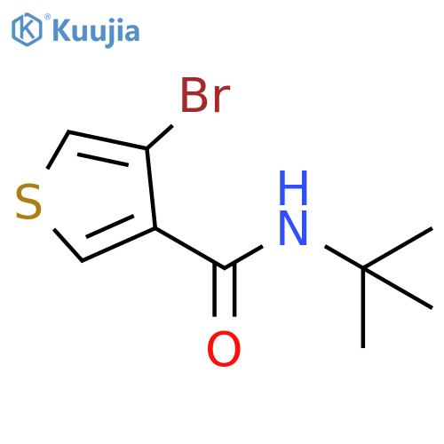 4-bromo-N-tert-butylthiophene-3-carboxamide structure
