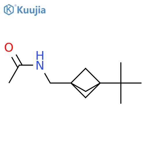 N-[(3-tert-butyl-1-bicyclo[1.1.1]pentanyl)methyl]acetamide structure