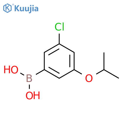 (3-Chloro-5-isopropoxyphenyl)boronic acid structure