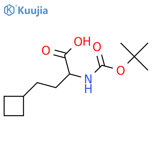 2-(tert-butoxycarbonylamino)-4-cyclobutyl-butanoic acid structure