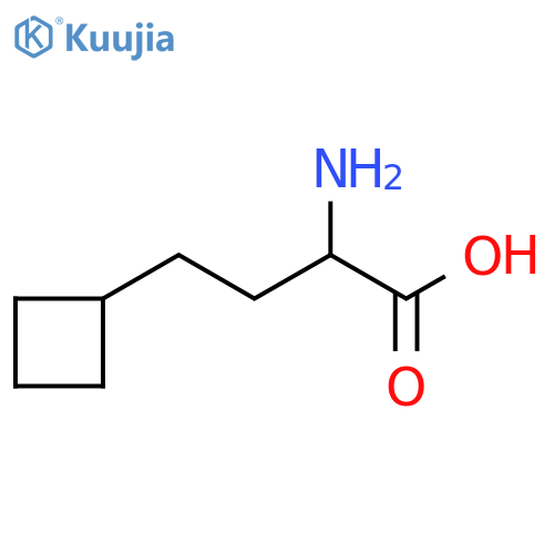 2-amino-4-cyclobutyl-butanoic acid structure