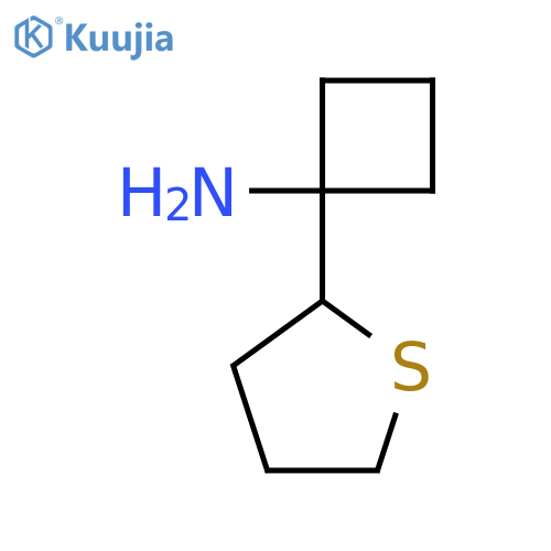 1-(thiolan-2-yl)cyclobutan-1-amine structure