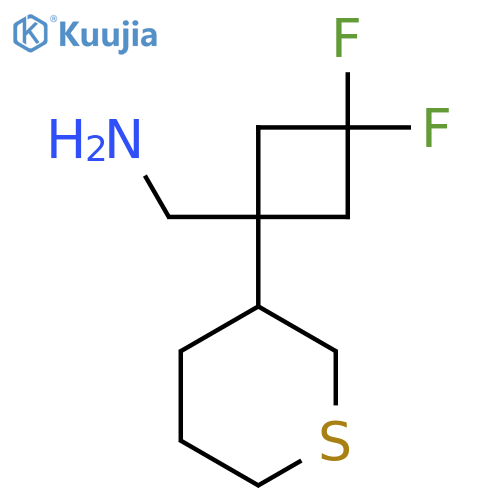 3,3-difluoro-1-(thian-3-yl)cyclobutylmethanamine structure