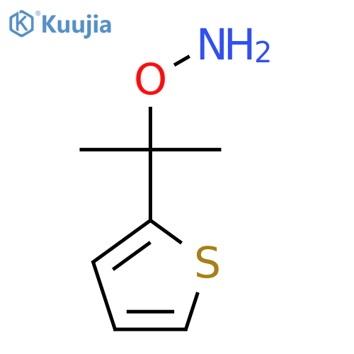O-2-(thiophen-2-yl)propan-2-ylhydroxylamine structure
