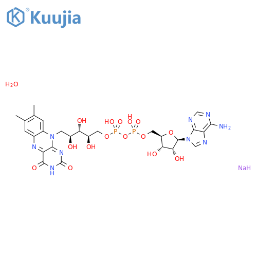 Flavin Adenine Dinucleotide Disodium Salt n-Hydrate structure