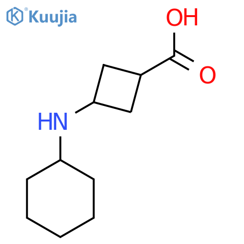 3-(cyclohexylamino)cyclobutane-1-carboxylic acid structure