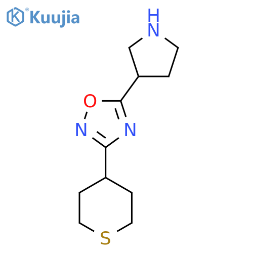 5-(Pyrrolidin-3-yl)-3-(tetrahydro-2H-thiopyran-4-yl)-1,2,4-oxadiazole structure