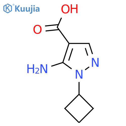 5-amino-1-cyclobutyl-1H-pyrazole-4-carboxylic acid structure