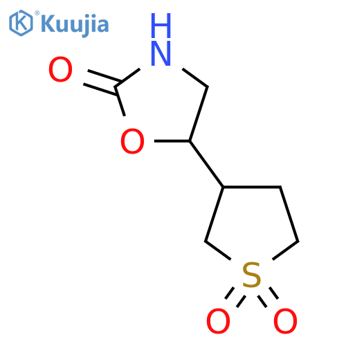 3-(2-oxo-1,3-oxazolidin-5-yl)-1lambda6-thiolane-1,1-dione structure