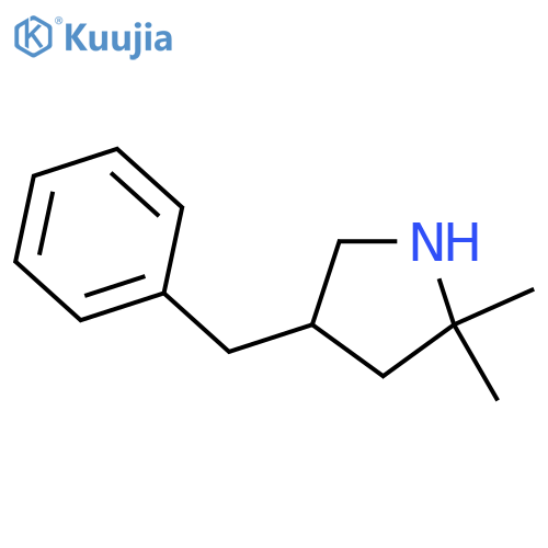 4-Benzyl-2,2-dimethylpyrrolidine structure