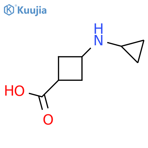 3-(cyclopropylamino)cyclobutane-1-carboxylic acid structure