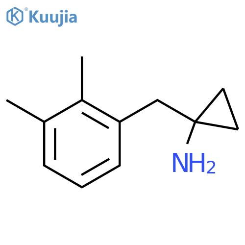 1-(2,3-dimethylphenyl)methylcyclopropan-1-amine structure