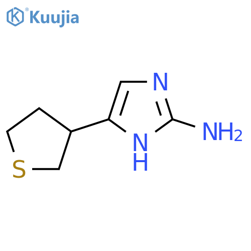 5-(thiolan-3-yl)-1H-imidazol-2-amine structure