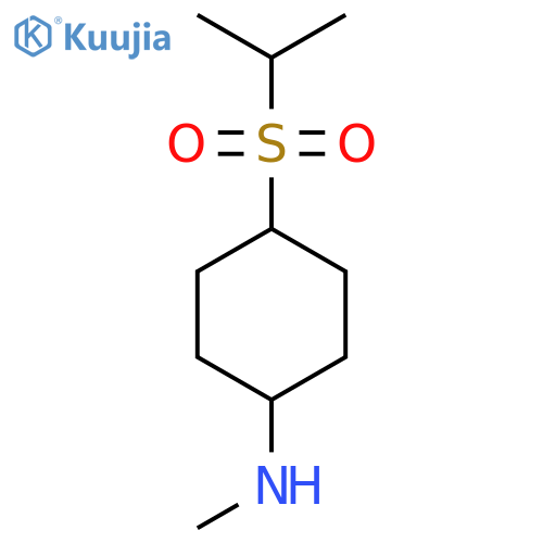 N-Methyl-4-(propane-2-sulfonyl)cyclohexan-1-amine structure