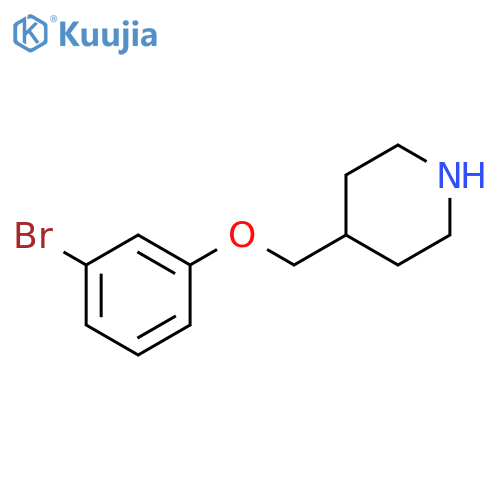4-[(3-BroMophenoxy)Methyl]-piperidine structure