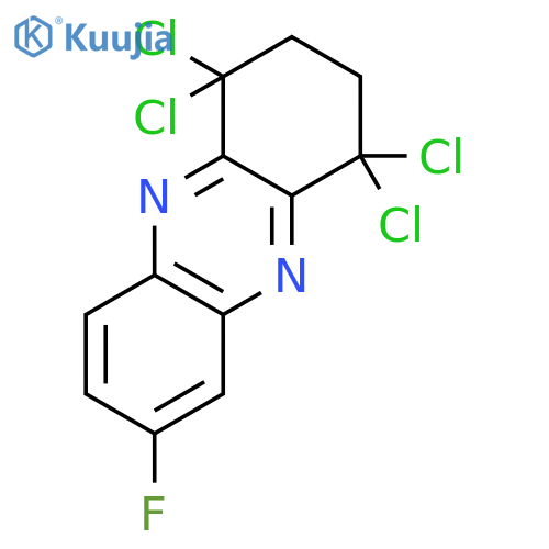 Phenazine, 1,1,4,4-tetrachloro-7-fluoro-1,2,3,4-tetrahydro- structure