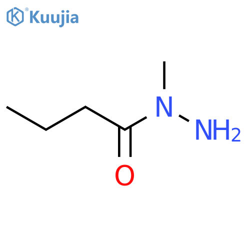 N-methylbutanehydrazide structure