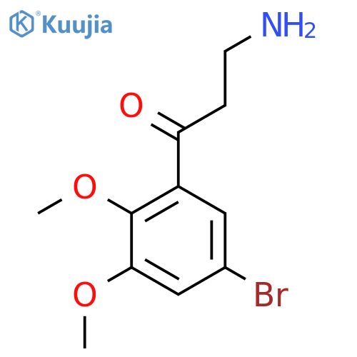 3-amino-1-(5-bromo-2,3-dimethoxyphenyl)propan-1-one structure