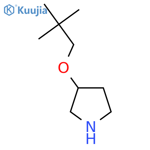3-(2,2-dimethylpropoxy)pyrrolidine structure