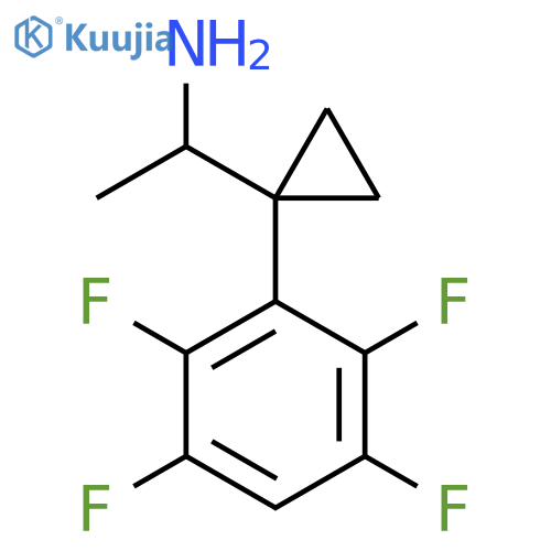 1-1-(2,3,5,6-tetrafluorophenyl)cyclopropylethan-1-amine structure