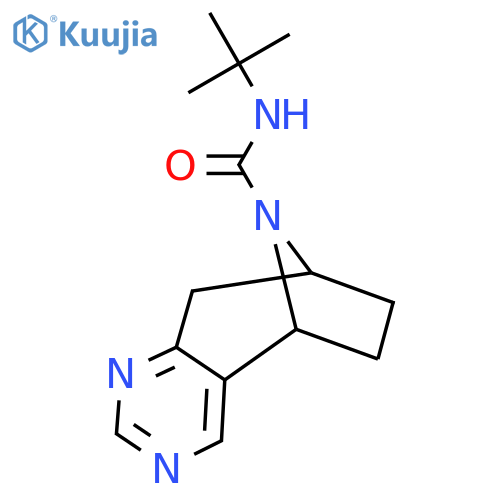 (5R,8S)-N-(tert-butyl)-6,7,8,9-tetrahydro-5H-5,8-epiminocyclohepta[d]pyrimidine-10-carboxamide structure