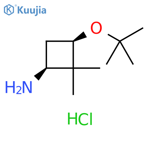 Cyclobutanamine, 3-(1,1-dimethylethoxy)-2,2-dimethyl-, hydrochloride (1:1), (1S,3R)- structure